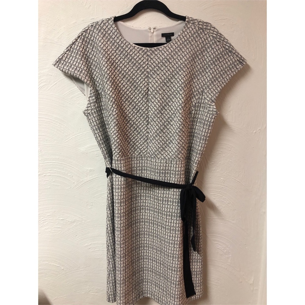 Ann Taylor A-Line B&W Cream Soft Dress